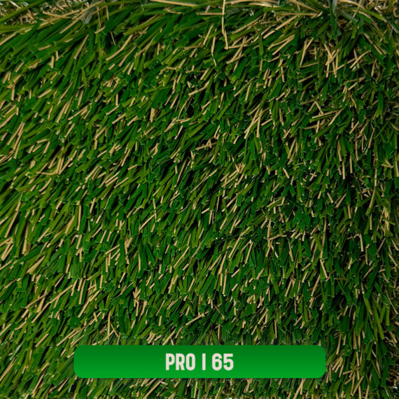 PRO I 65