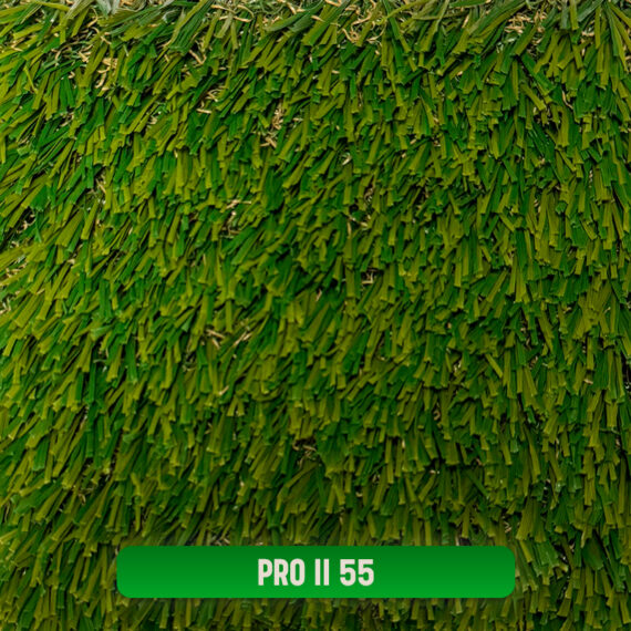 PRO II 55