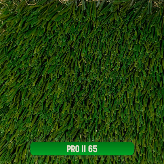 PRO II 65