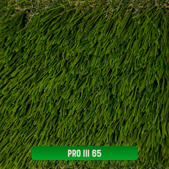 PRO III 65