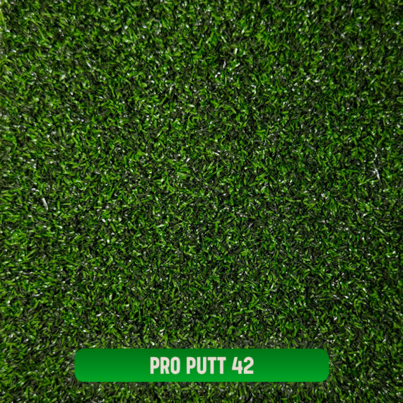PRO PUTT 42
