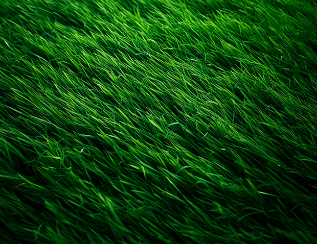 TURF-BANNER