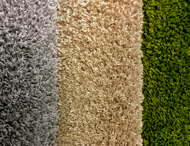 carpet-banner